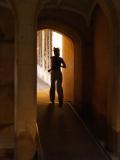 runner, bridge of sighs, cambridge