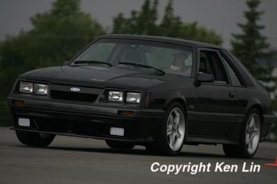 JJ2M3950.JPG