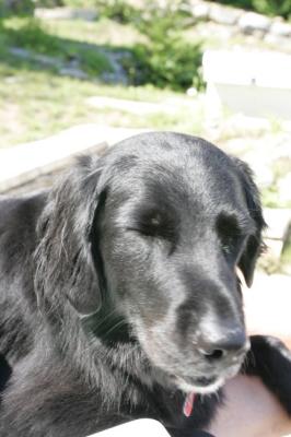 Haliburton 2005