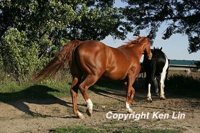 round_up
