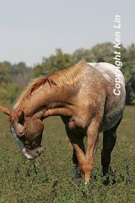 JJ2M2056.JPG