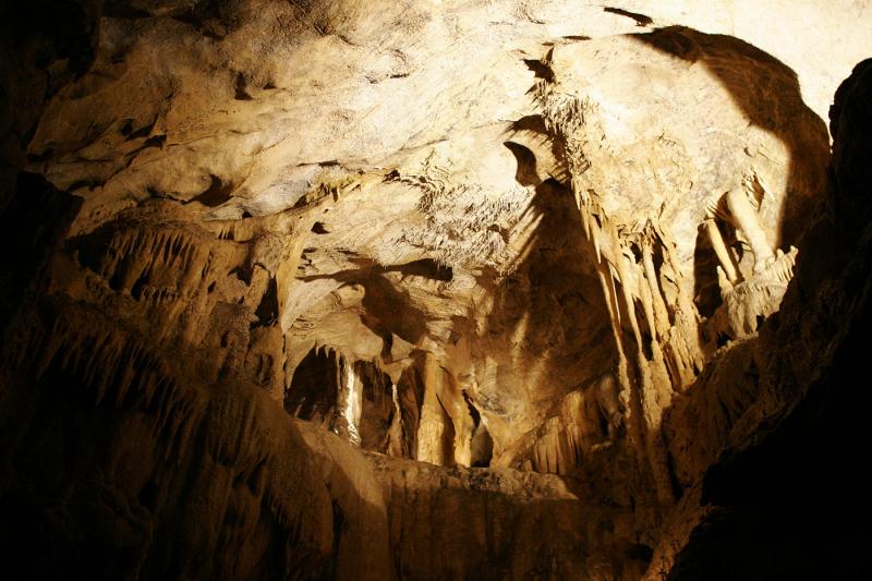 les dentelles funestes