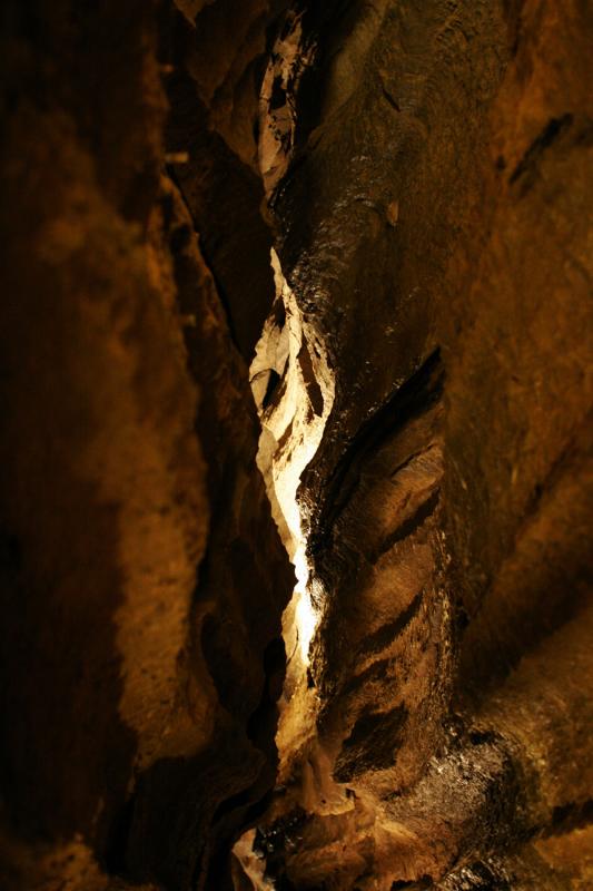 la fissure
