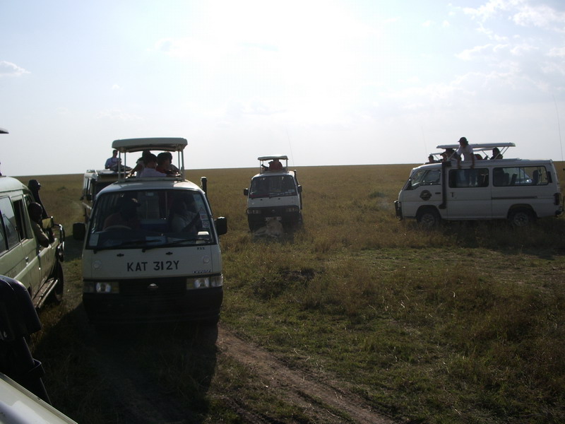 IMGP0679.JPG