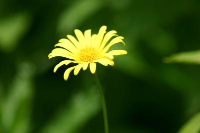 Just a little bit yellow