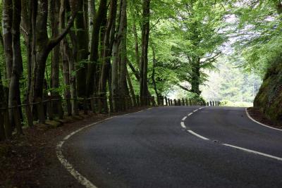 Beautiful Country Road