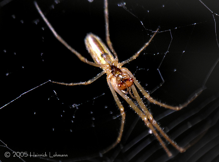 DSCN0906-web.jpg