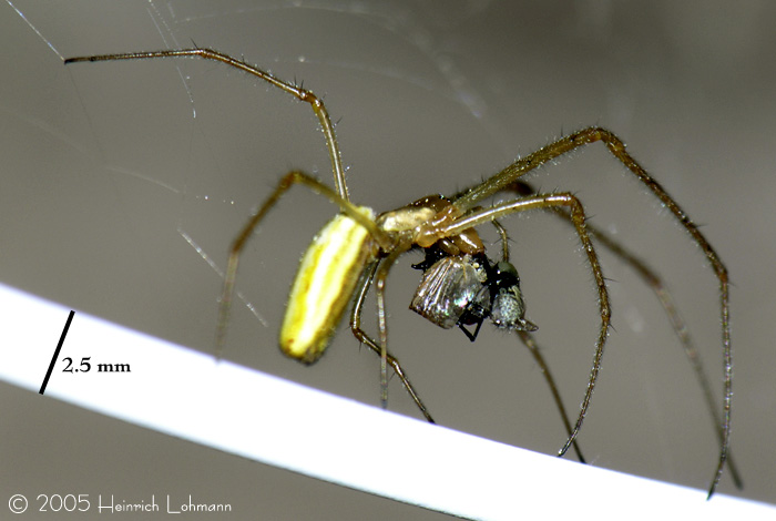 DSCN0949-web.jpg
