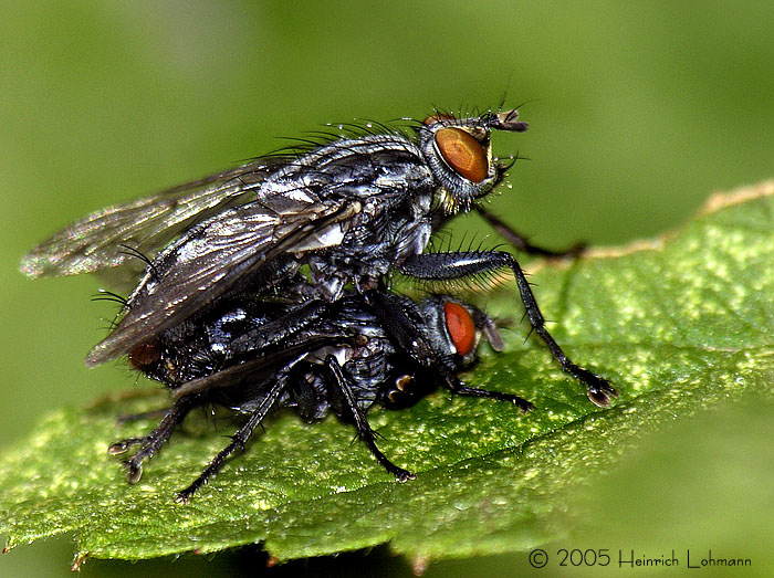 DSCN1862-web.jpg