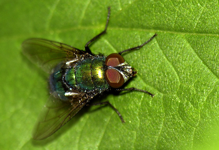 DSCN2044-web.jpg
