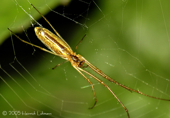 DSCN2332-web.jpg
