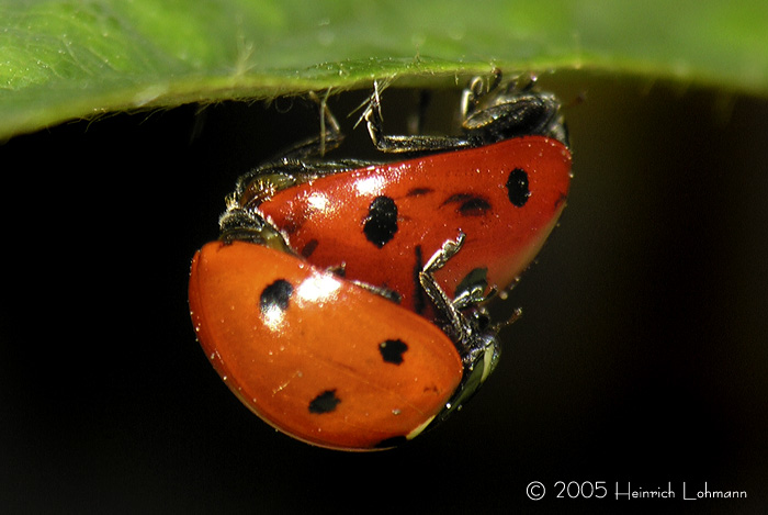 DSCN2403-web.jpg