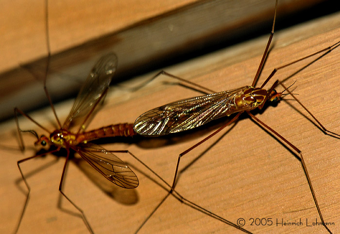 DSCN2593-web.jpg