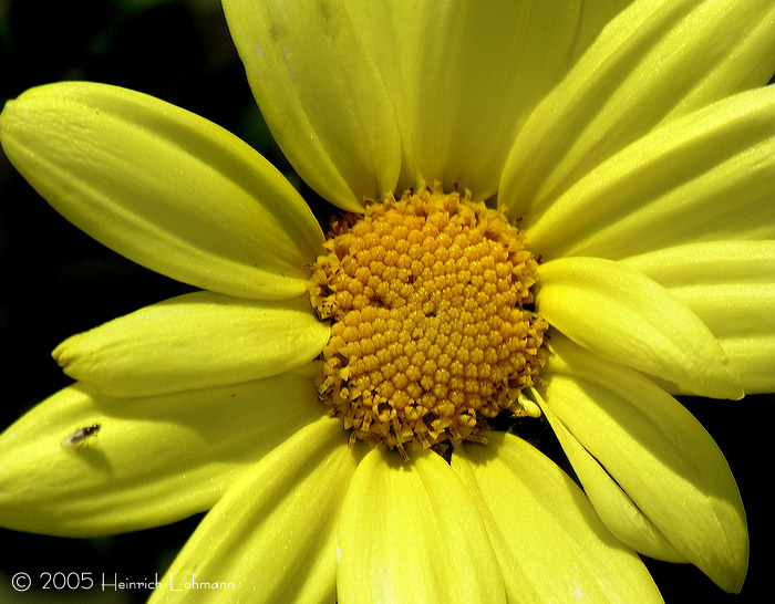 DSCN2789-web.jpg
