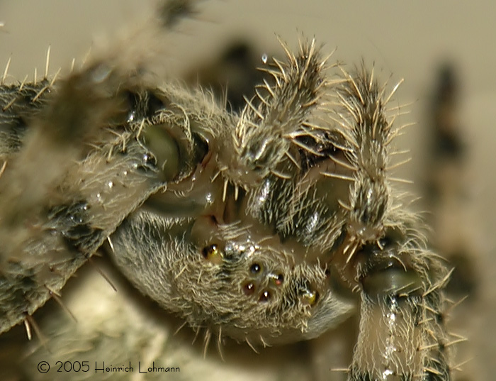 DSCN2861a-web.JPG