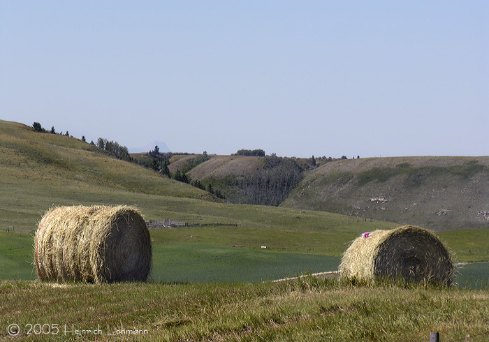 DSCN3456-web.jpg