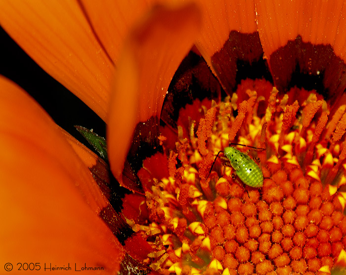 DSCN3530-web.jpg
