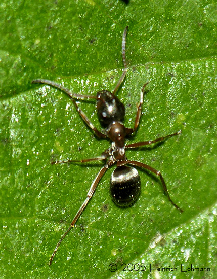 DSCN3873-web.jpg