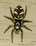 DSCN0153-web.jpg