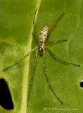 DSCN0177-web.jpg