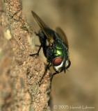 DSCN2331-web.jpg