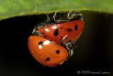 DSCN2403-web.jpg