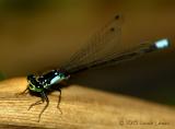 DSCN3210-web.jpg