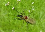 DSCN3830-web.jpg