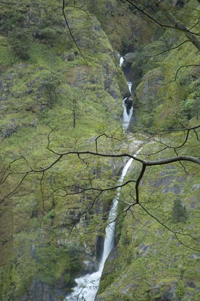 DSC_3729.jpg