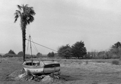 Bateau au palmier