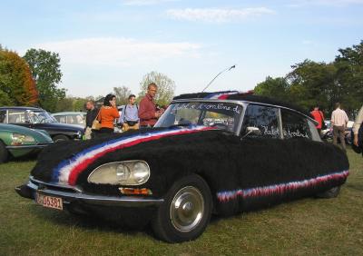 DS Fourrure