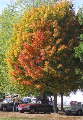 DS d'automne