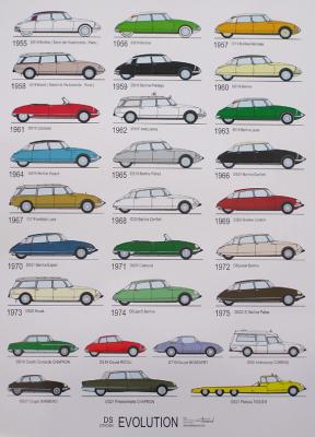 Evolution