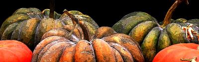 Citrouilles