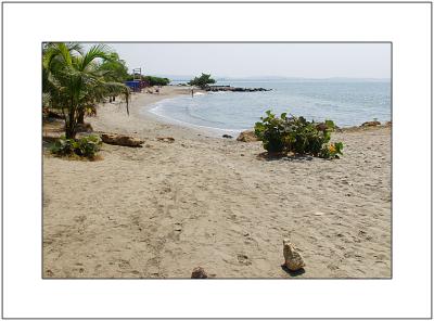 Our Beach