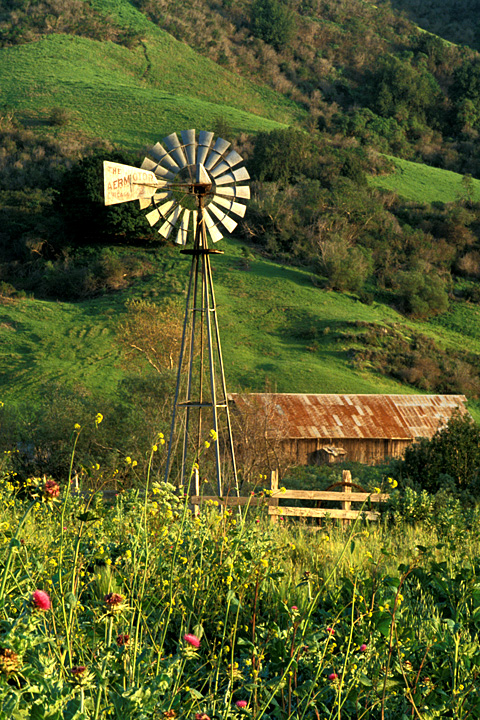 Country Windmill