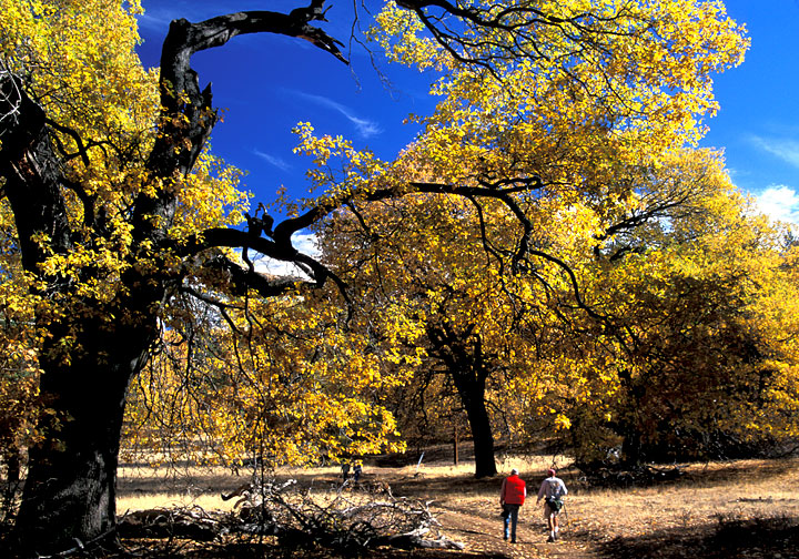 Cuyamaca Hikers