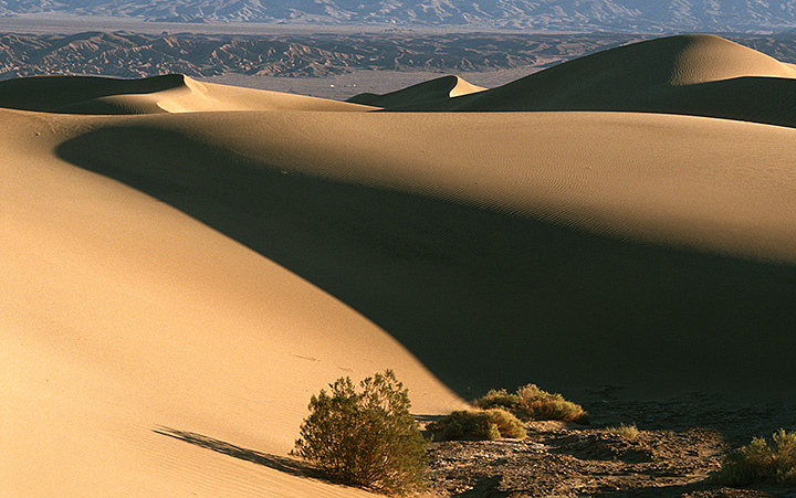 Sand Dune Curves