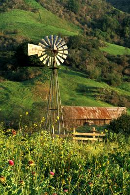 Country Windmill