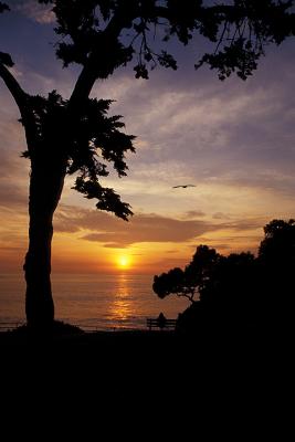 Laguna Beach Winter Sunset