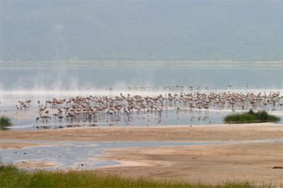 v3/05/598805/3/49759384.Bogoria.jpg