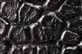 IMG_0608s.jpg 5x