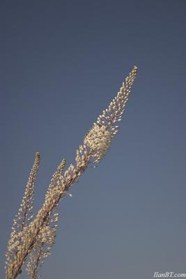 CRW_1137r.jpg
