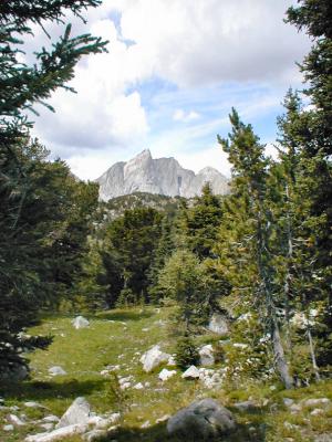 P8100035_Ambush Peak2.jpg