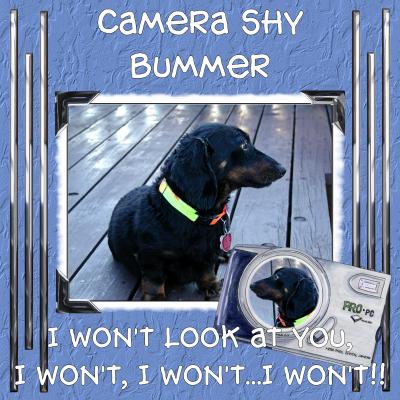 Bummer September 2005