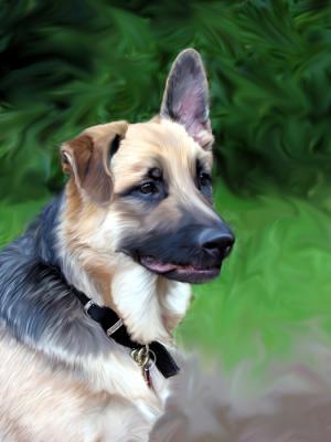 v3/06/127406/3/45523558.Marlie8mospaint_6230.jpg