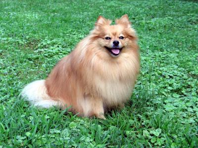 Lacey_0080.jpg