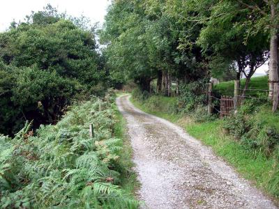The lane into Feirm Cottage
