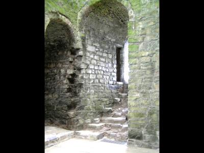 inside Trim castle