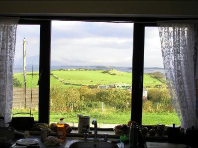 View from kitchen window - Aisling Padraig
